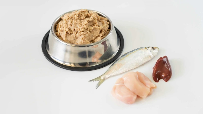 Pate cho mèo loại nào ngon và an toàn nhất